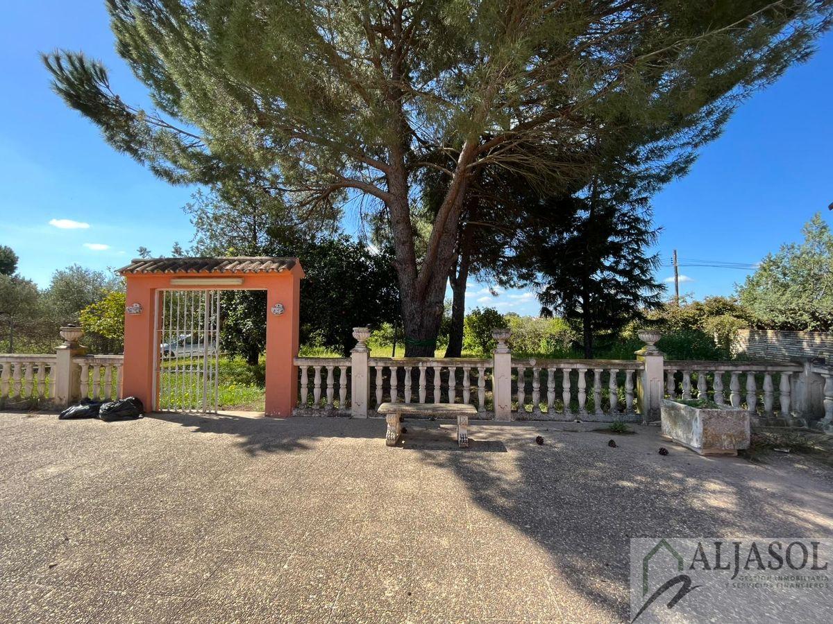 Venta de chalet en Sanlúcar la Mayor