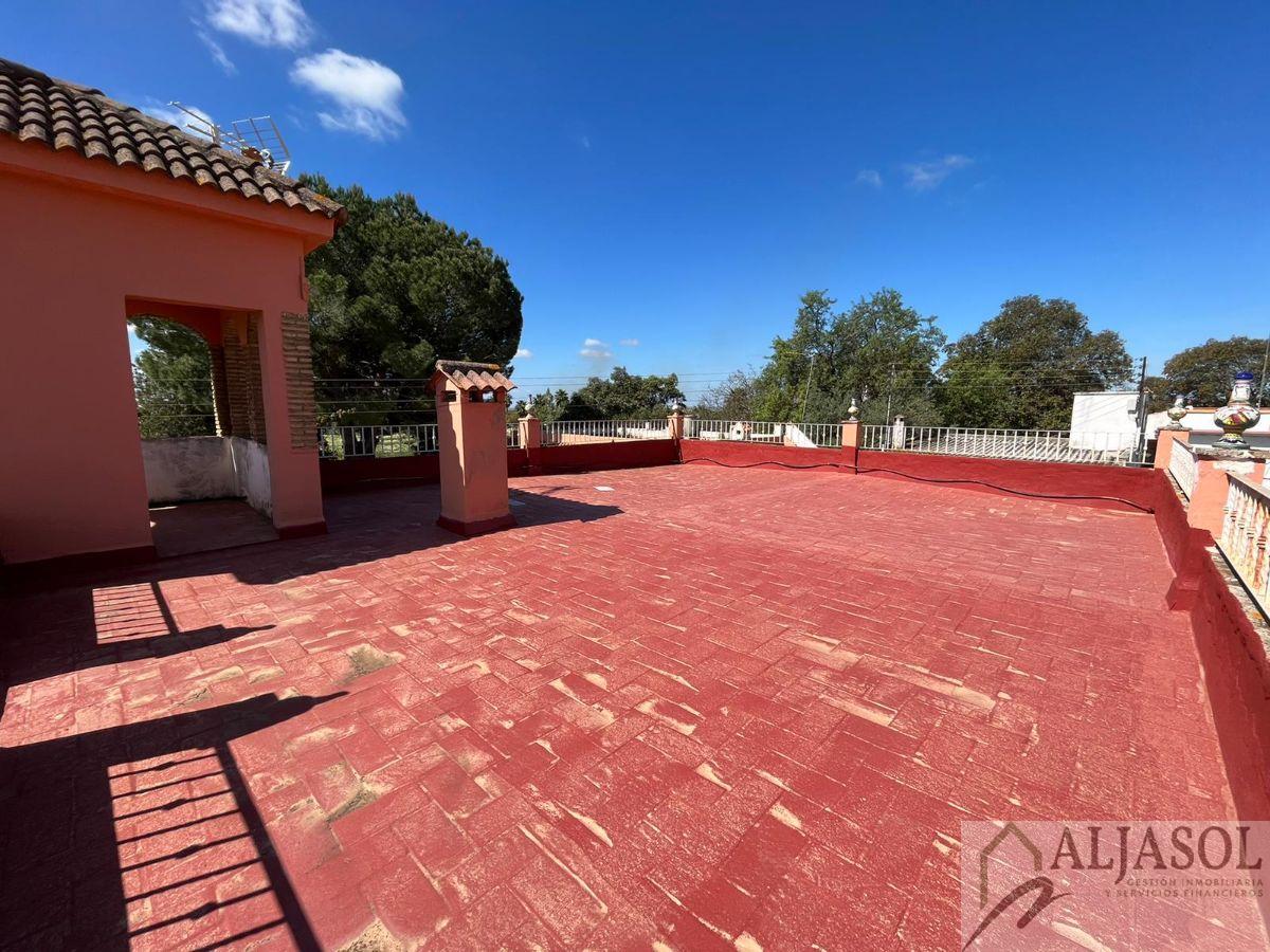 Venta de chalet en Sanlúcar la Mayor