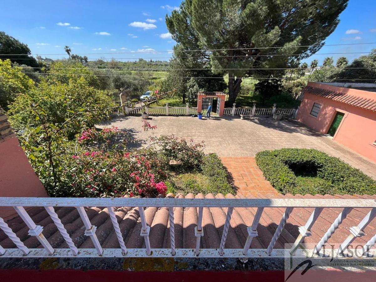 Venta de chalet en Sanlúcar la Mayor