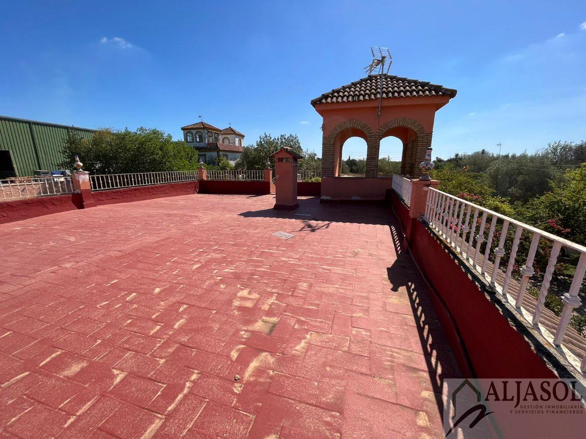 Venta de chalet en Sanlúcar la Mayor