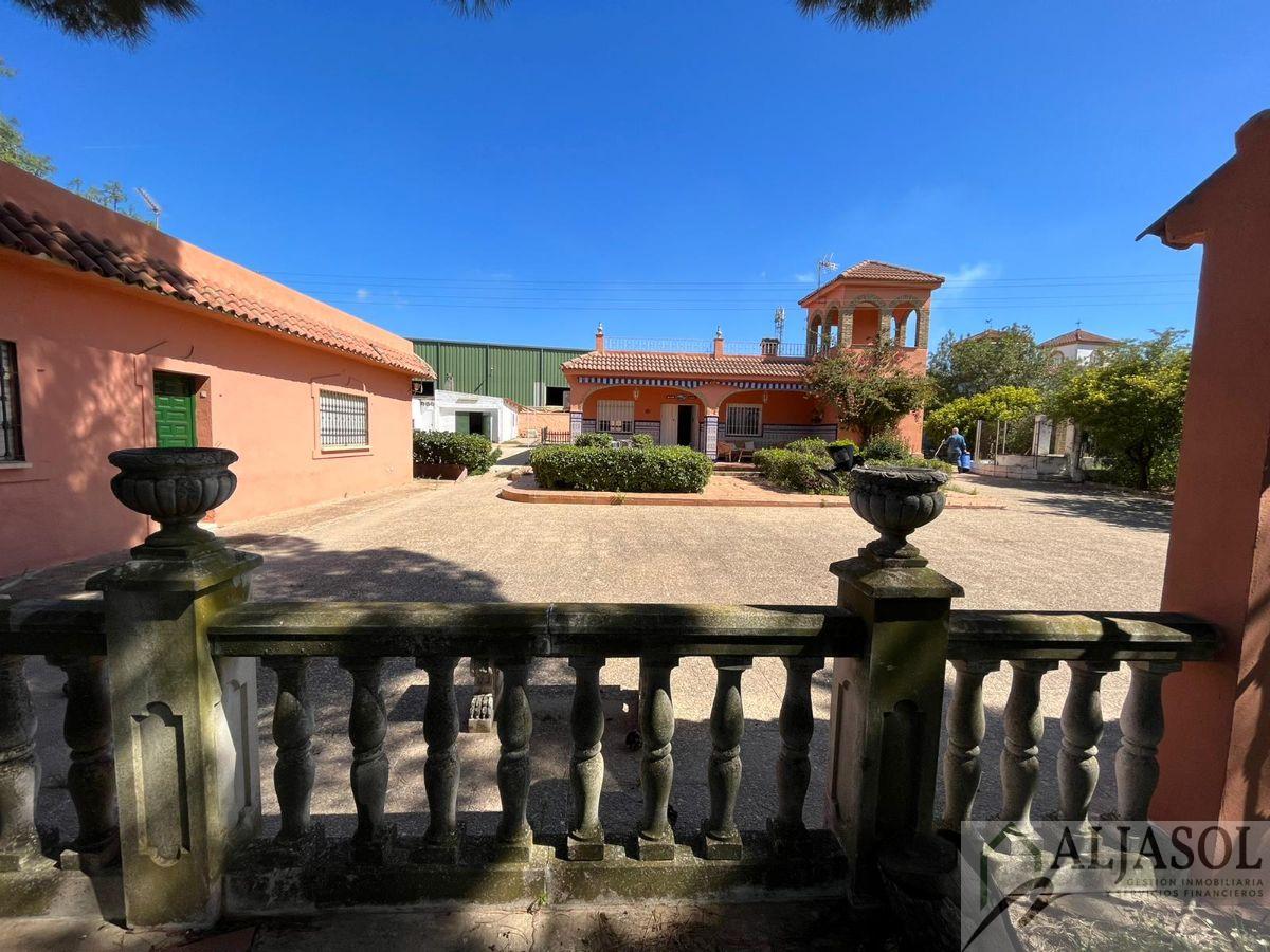Venta de chalet en Sanlúcar la Mayor