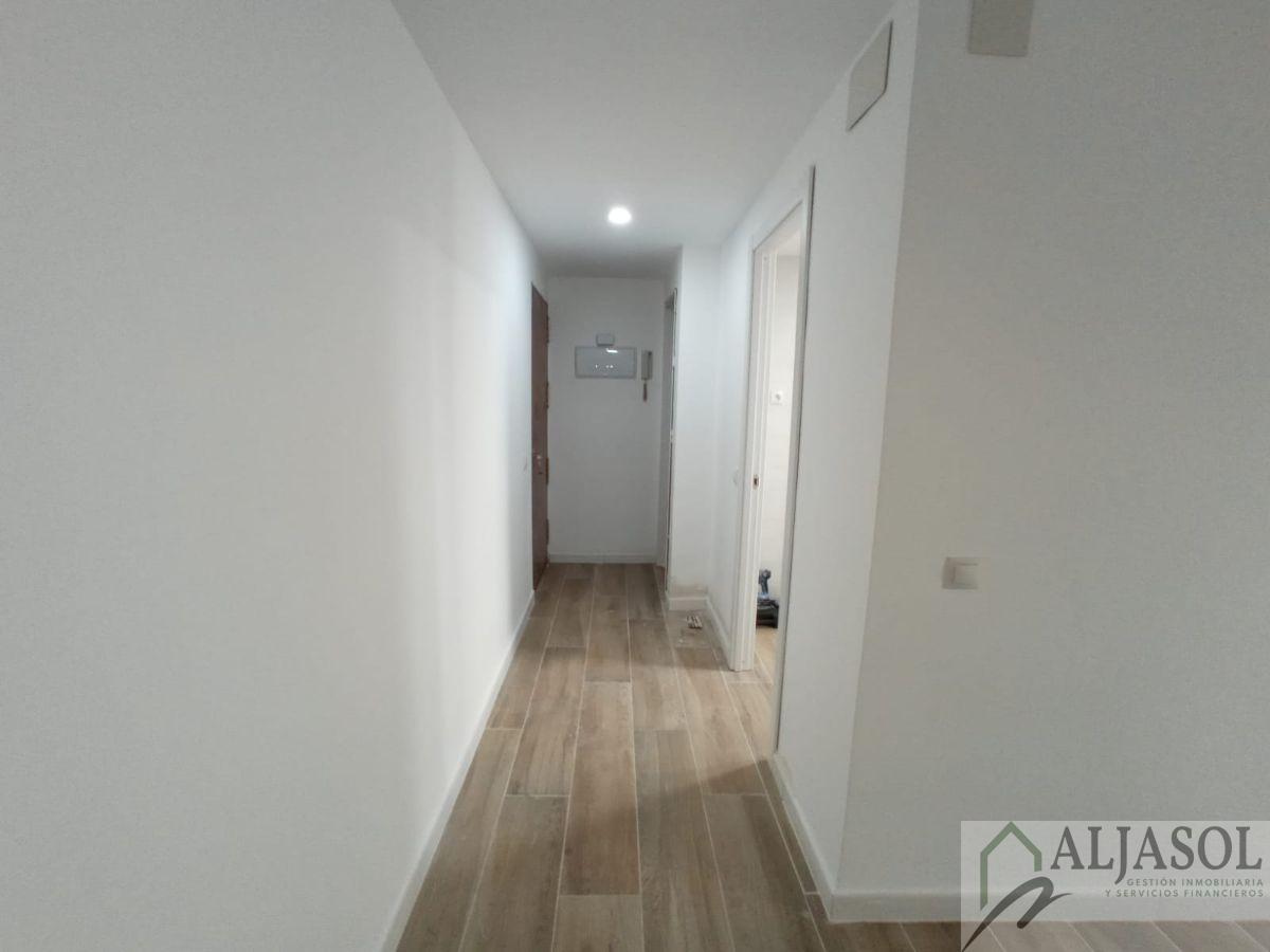 For rent of flat in Castilleja de la Cuesta