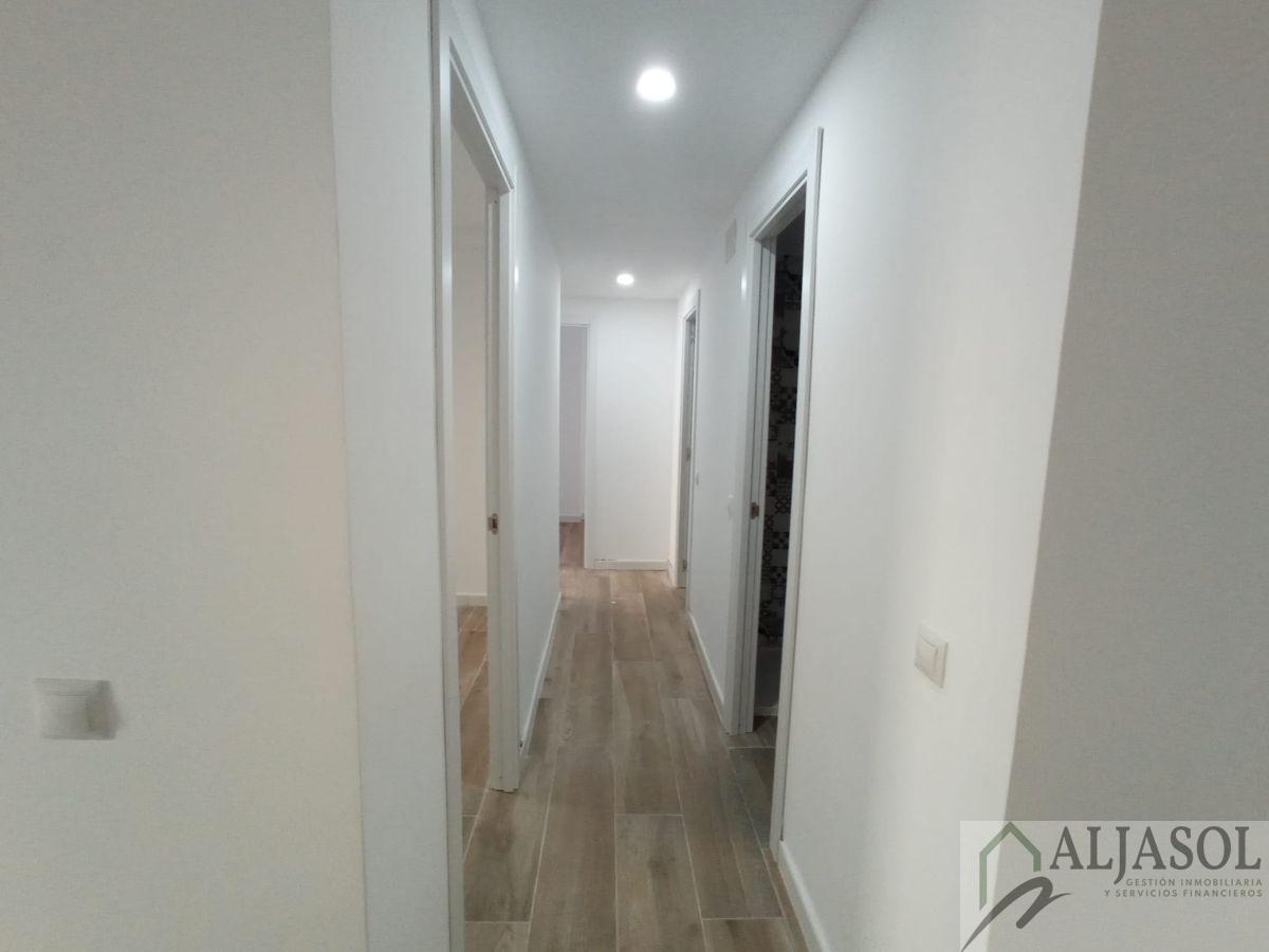 For rent of flat in Castilleja de la Cuesta