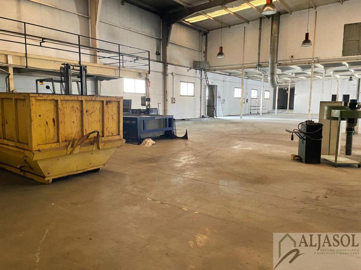 For sale of industrial plant/warehouse in Bollullos de la Mitación
