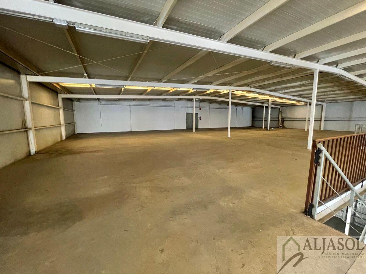 For sale of industrial plant/warehouse in Bollullos de la Mitación