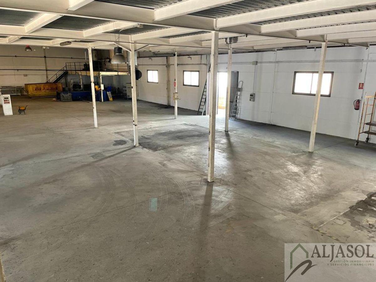 For sale of industrial plant/warehouse in Bollullos de la Mitación