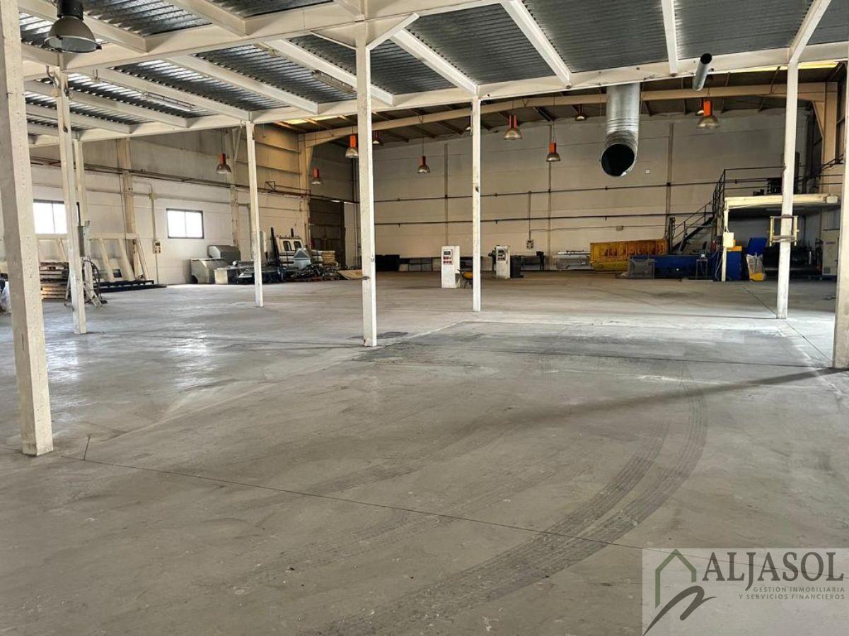 For sale of industrial plant/warehouse in Bollullos de la Mitación