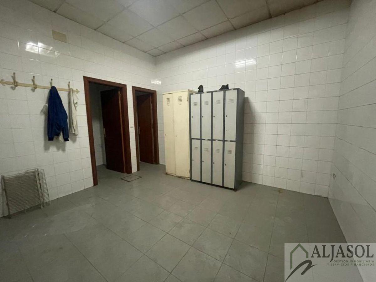 For sale of industrial plant/warehouse in Bollullos de la Mitación