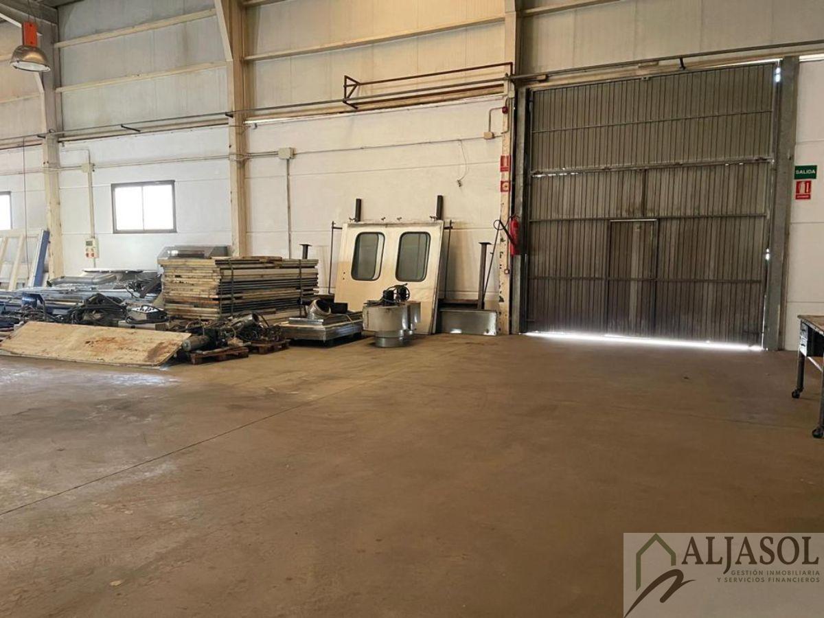 For sale of industrial plant/warehouse in Bollullos de la Mitación