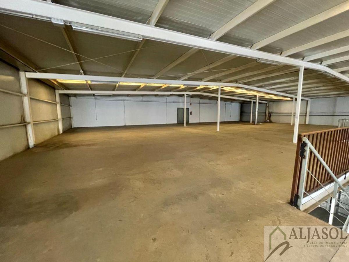 For sale of industrial plant/warehouse in Bollullos de la Mitación