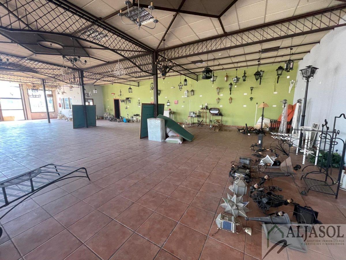 For sale of industrial plant/warehouse in Bollullos de la Mitación