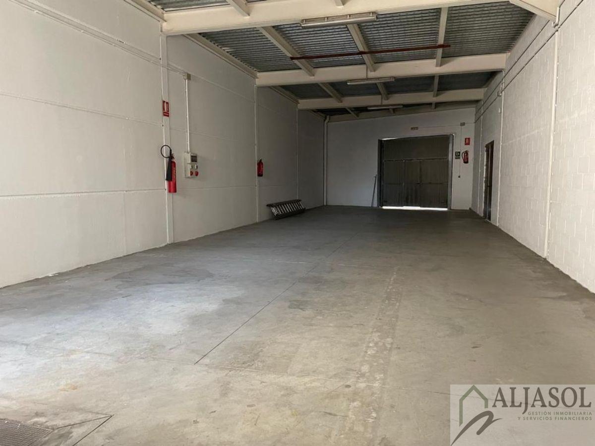 For sale of industrial plant/warehouse in Bollullos de la Mitación