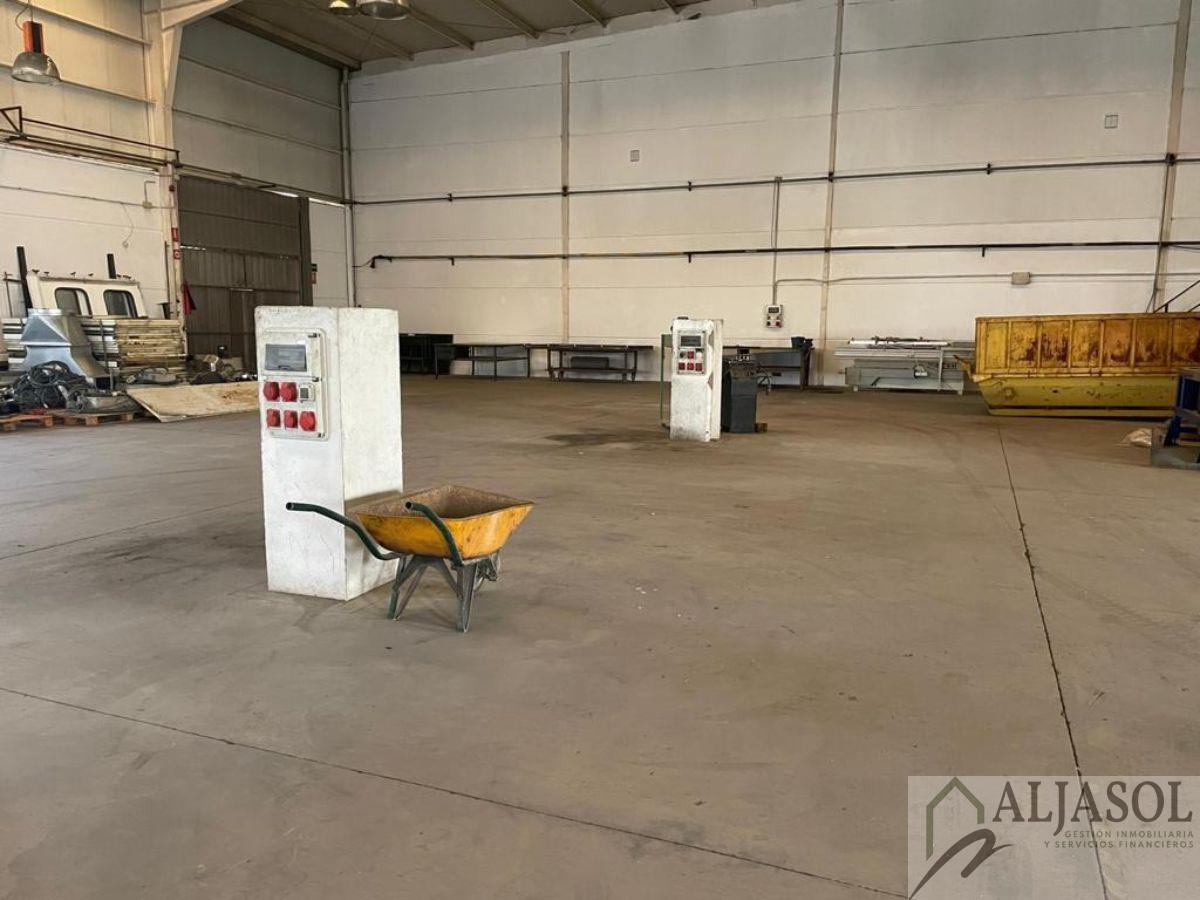 For sale of industrial plant/warehouse in Bollullos de la Mitación