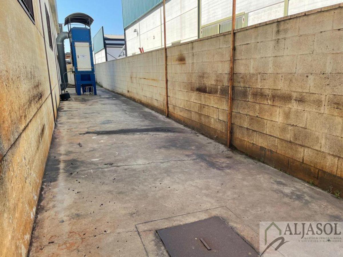 For sale of industrial plant/warehouse in Bollullos de la Mitación