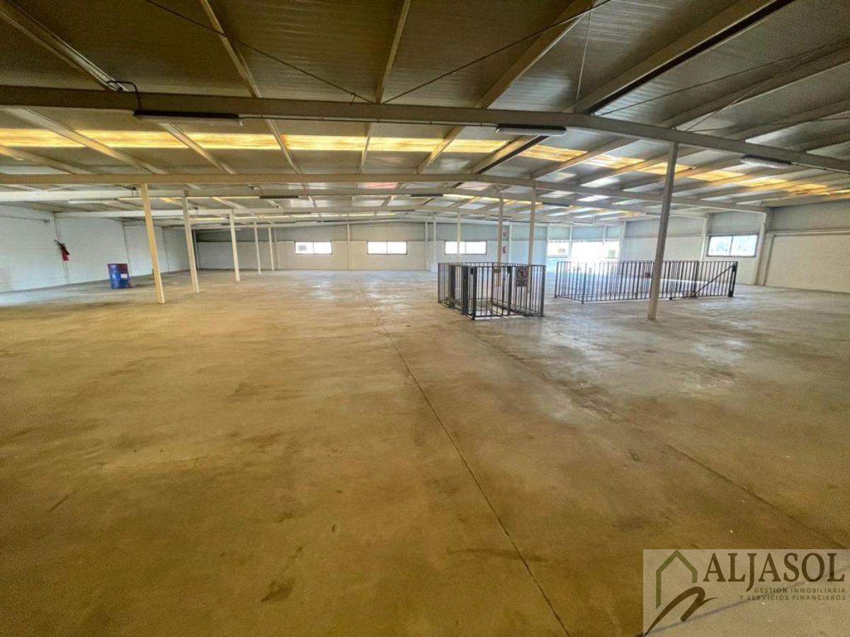 For sale of industrial plant/warehouse in Bollullos de la Mitación