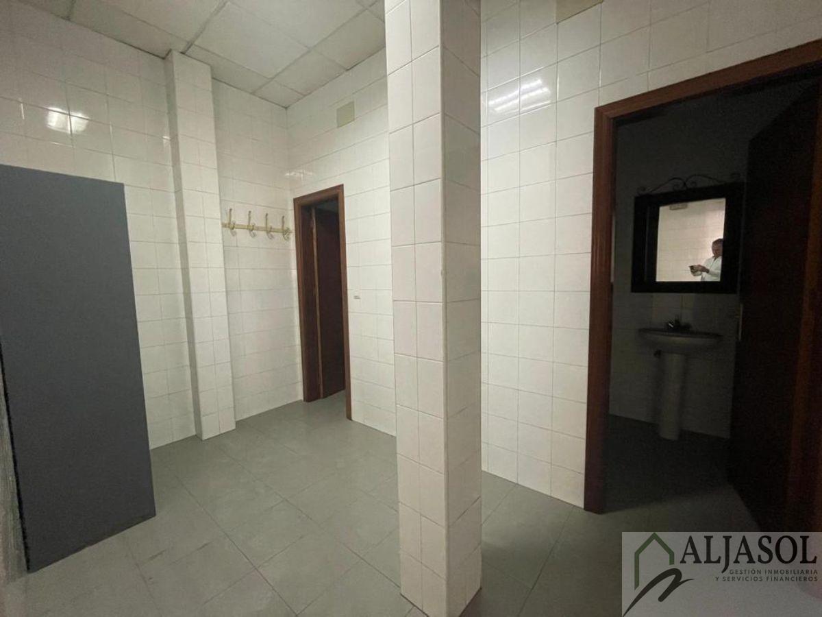 For sale of industrial plant/warehouse in Bollullos de la Mitación