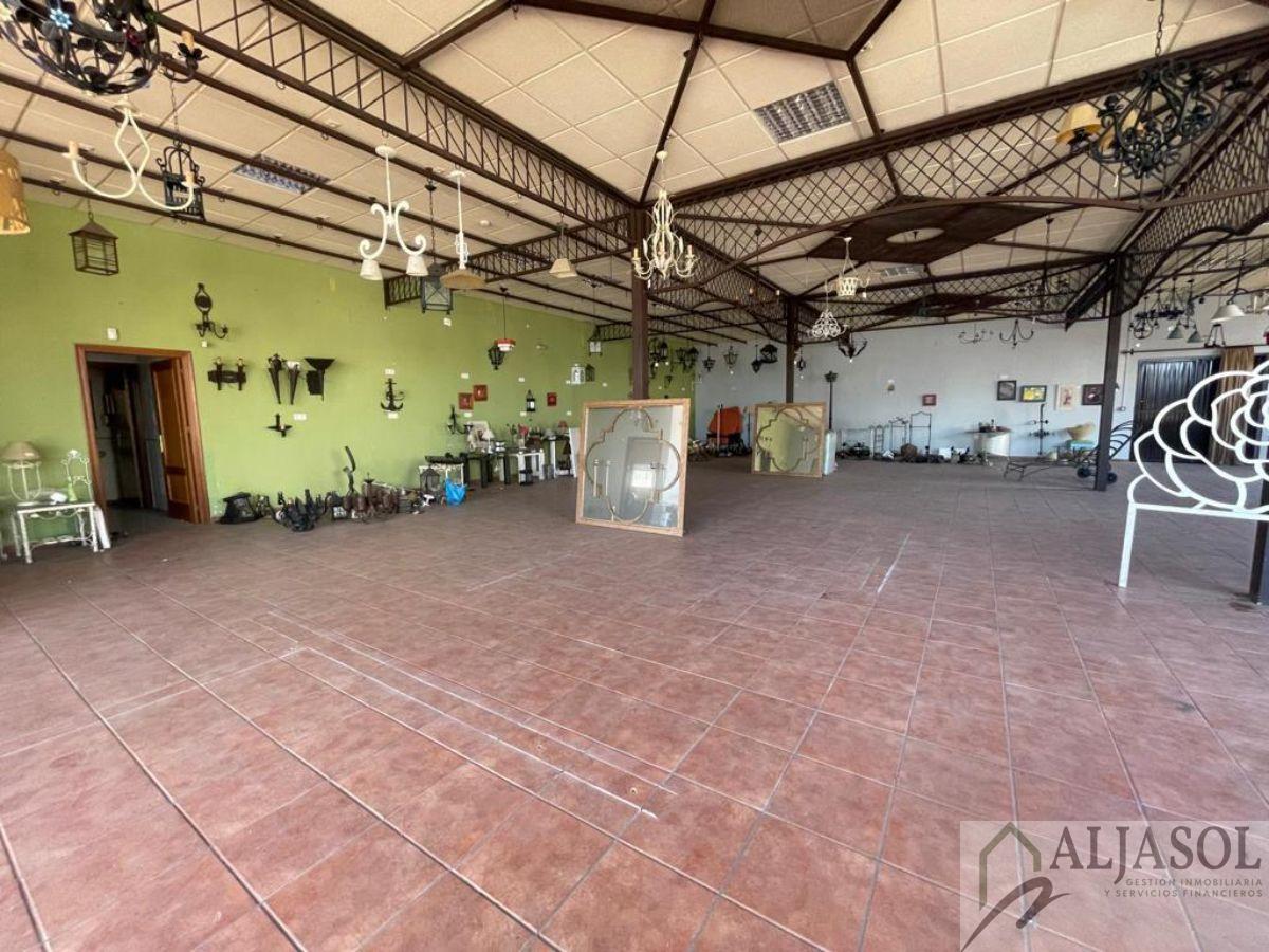 For sale of industrial plant/warehouse in Bollullos de la Mitación
