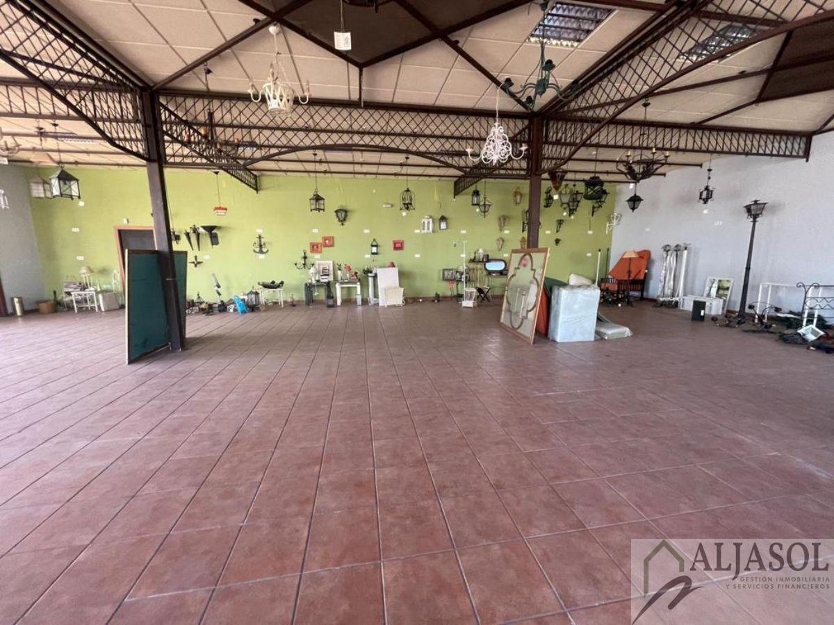 For sale of industrial plant/warehouse in Bollullos de la Mitación