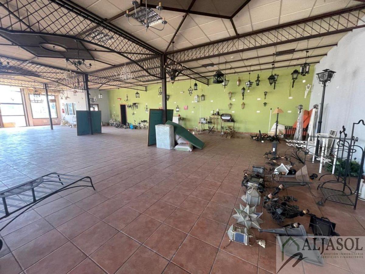 For sale of industrial plant/warehouse in Bollullos de la Mitación
