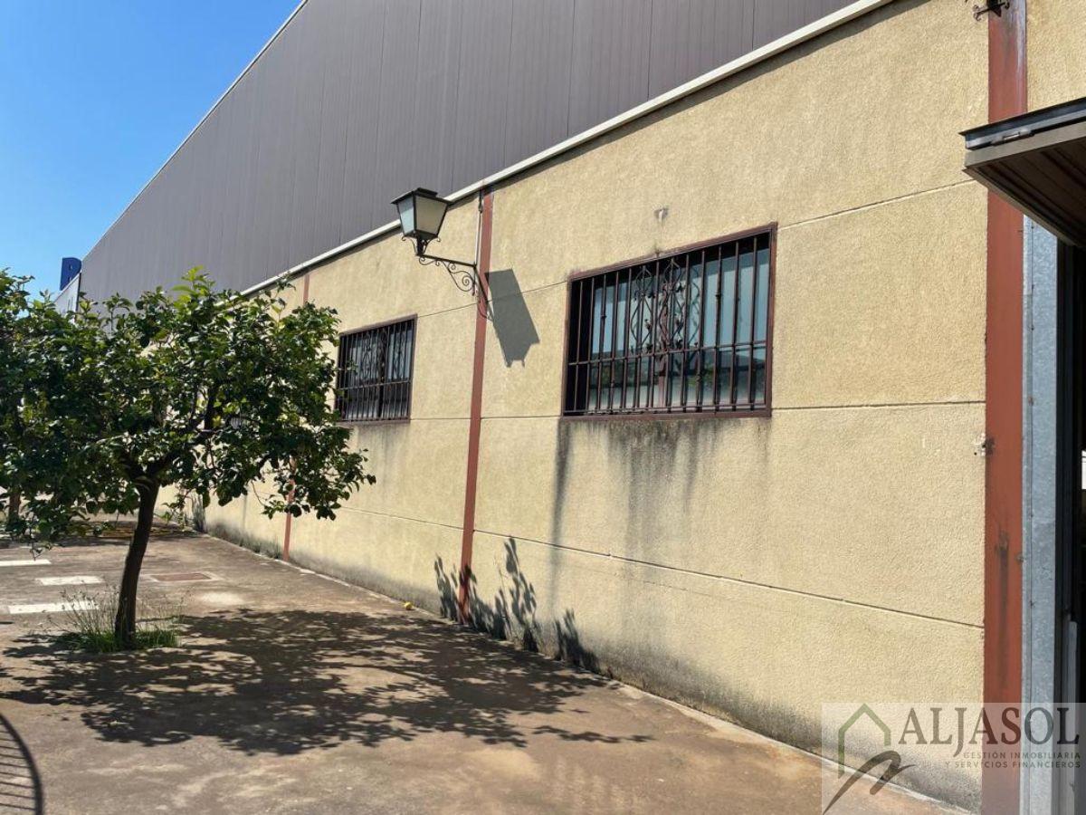 For sale of industrial plant/warehouse in Bollullos de la Mitación
