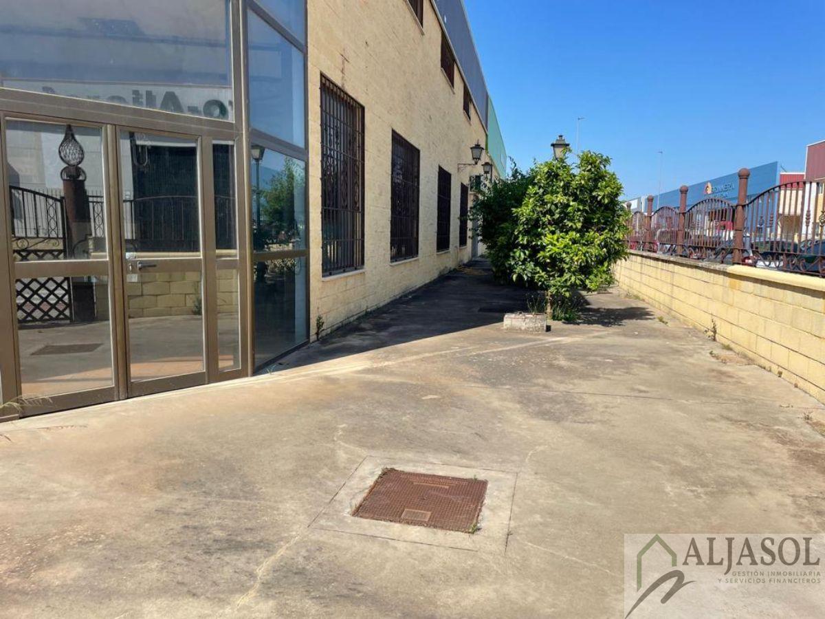 For sale of industrial plant/warehouse in Bollullos de la Mitación