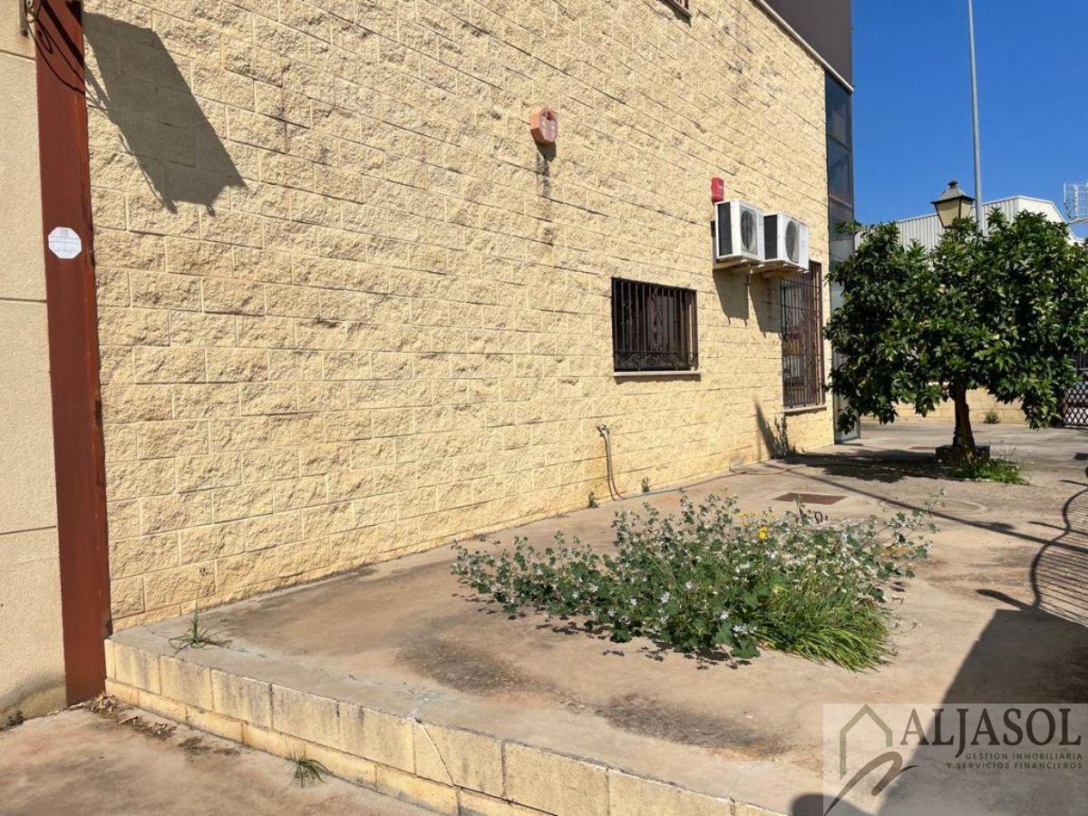 For sale of industrial plant/warehouse in Bollullos de la Mitación