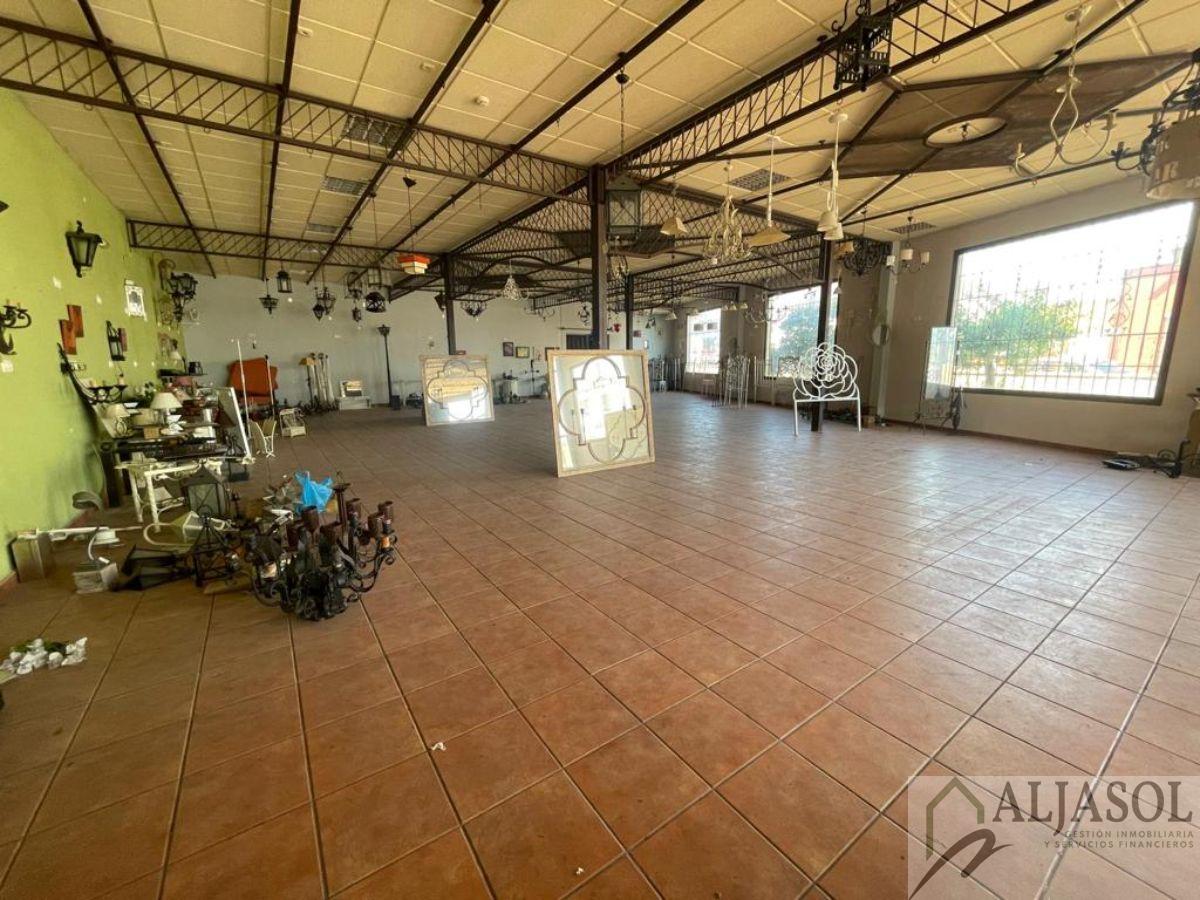 For sale of industrial plant/warehouse in Bollullos de la Mitación
