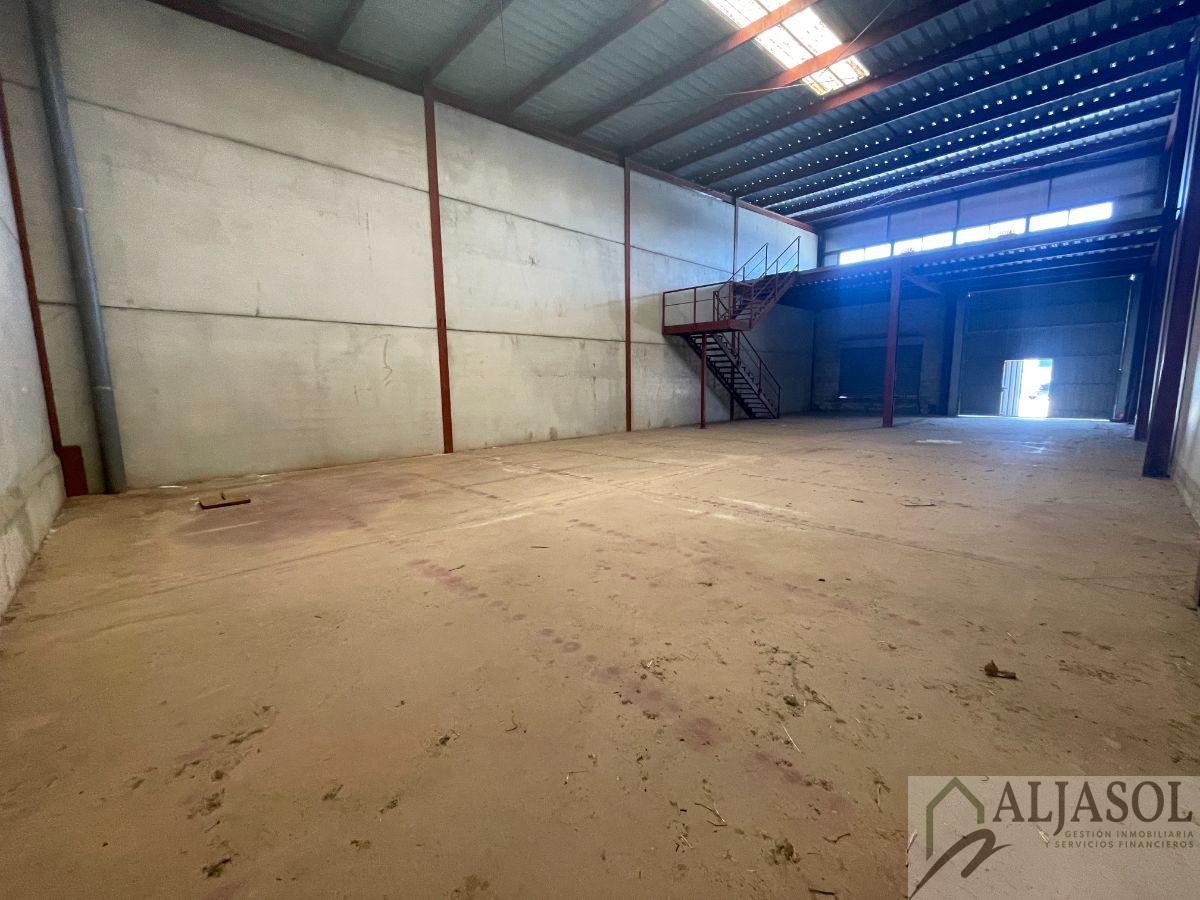 For sale of industrial plant/warehouse in Bollullos de la Mitación