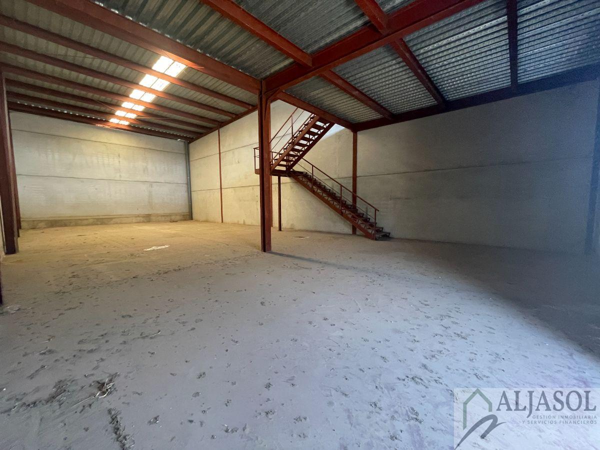 For sale of industrial plant/warehouse in Bollullos de la Mitación