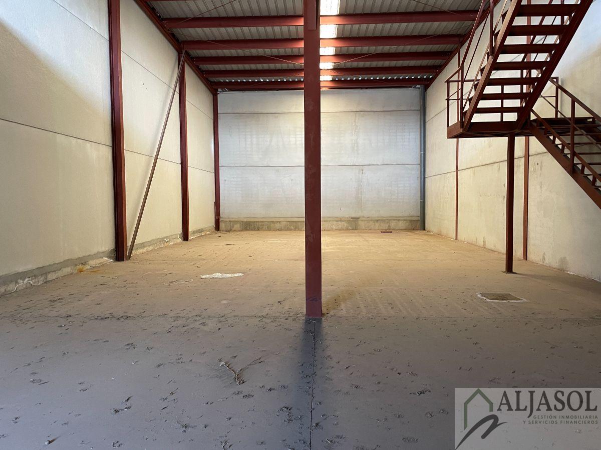 For sale of industrial plant/warehouse in Bollullos de la Mitación