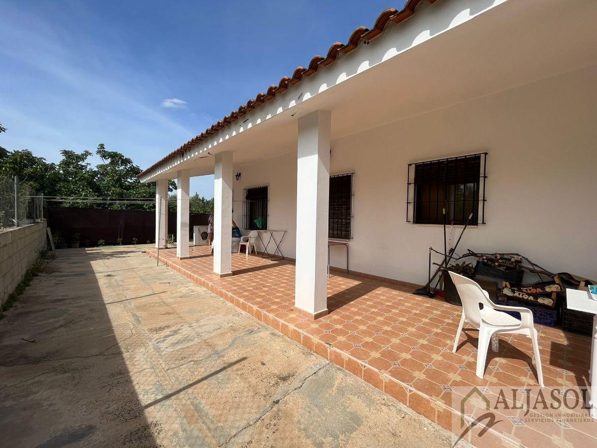 Venta de chalet en Almensilla