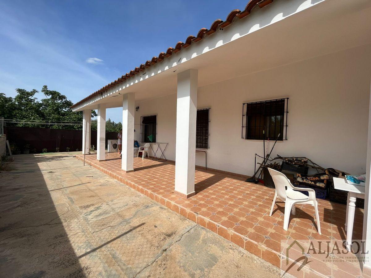 Venta de chalet en Almensilla