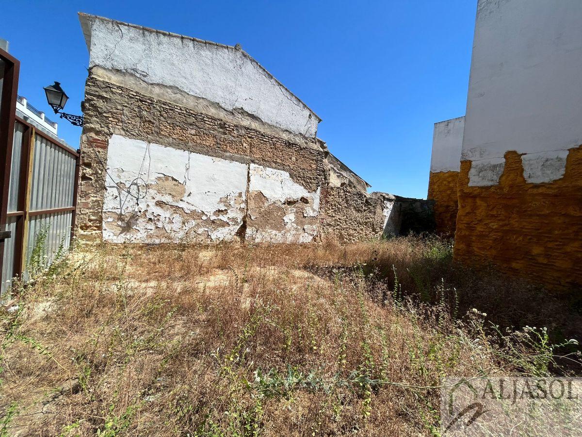 For sale of land in Bollullos de la Mitación