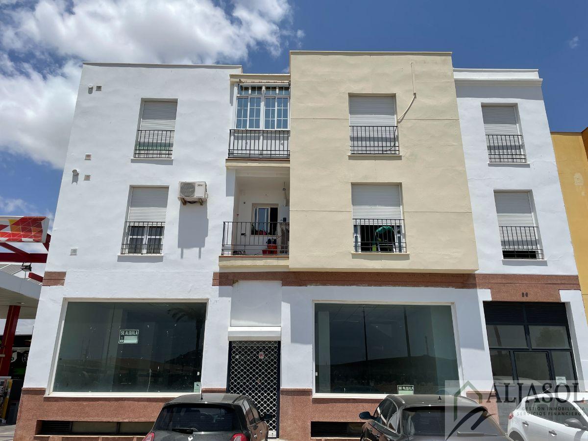 Alquiler de apartamento en Villamartín
