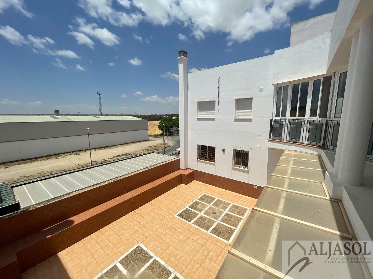 For rent of apartment in Villamartín
