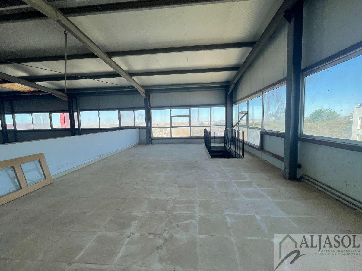 Venta de nave industrial en Sanlúcar la Mayor