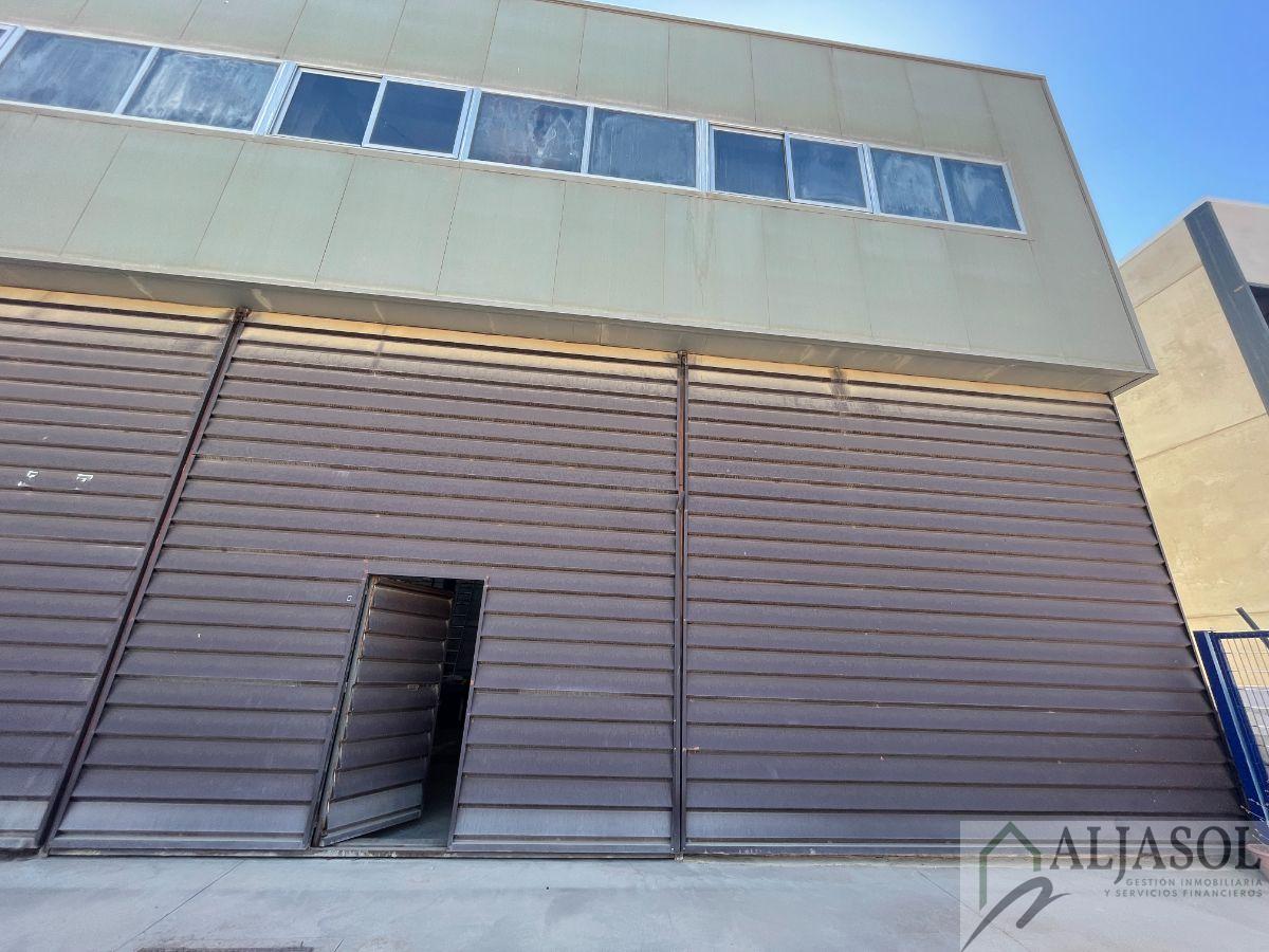 For sale of industrial plant/warehouse in Sanlúcar la Mayor