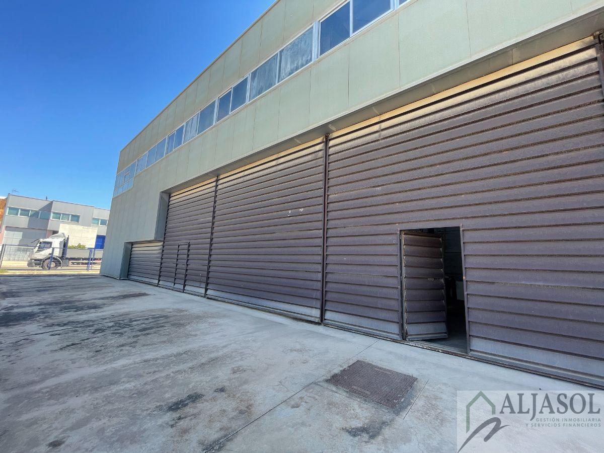 Venta de nave industrial en Sanlúcar la Mayor