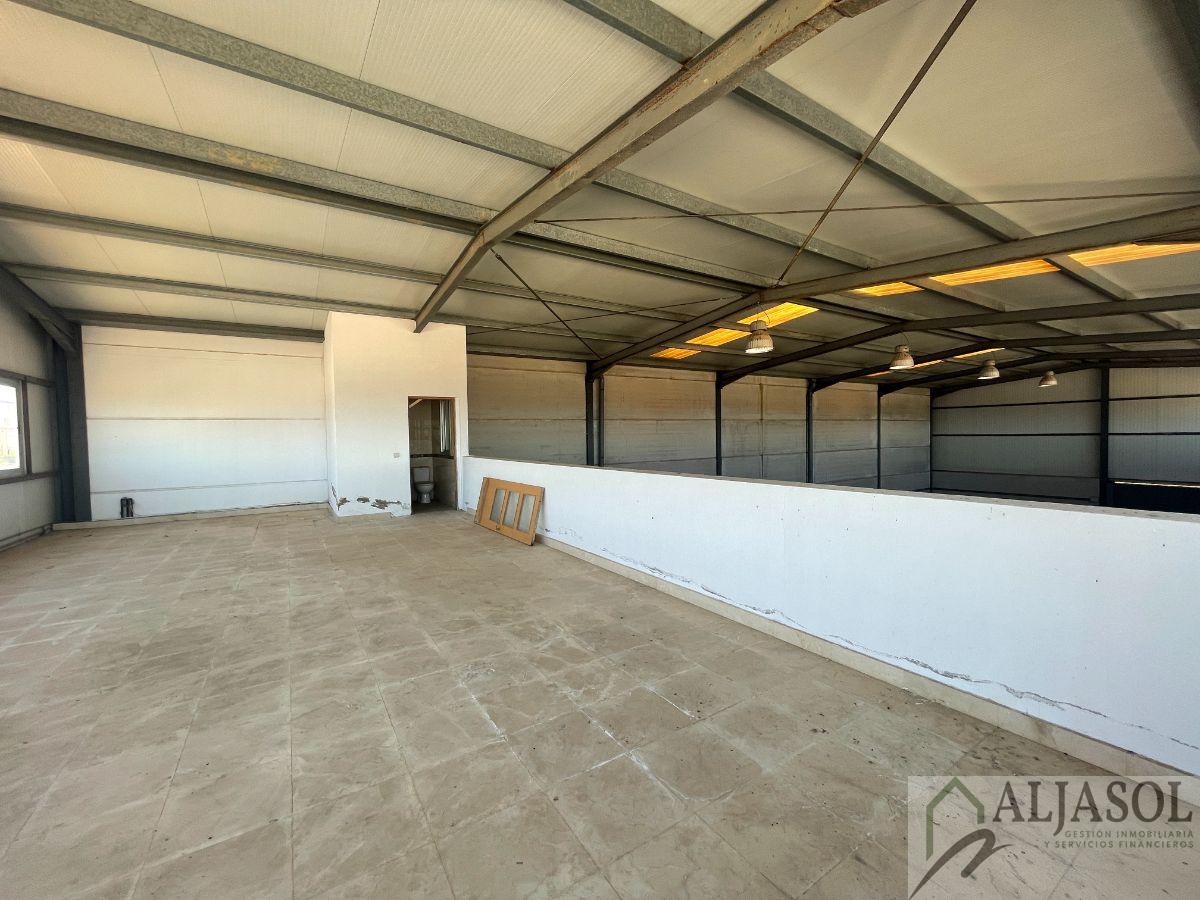 For sale of industrial plant/warehouse in Sanlúcar la Mayor