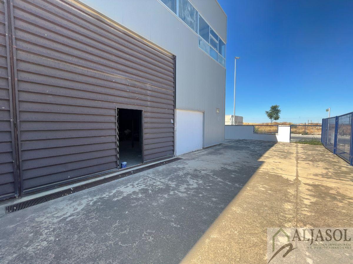 Venta de nave industrial en Sanlúcar la Mayor