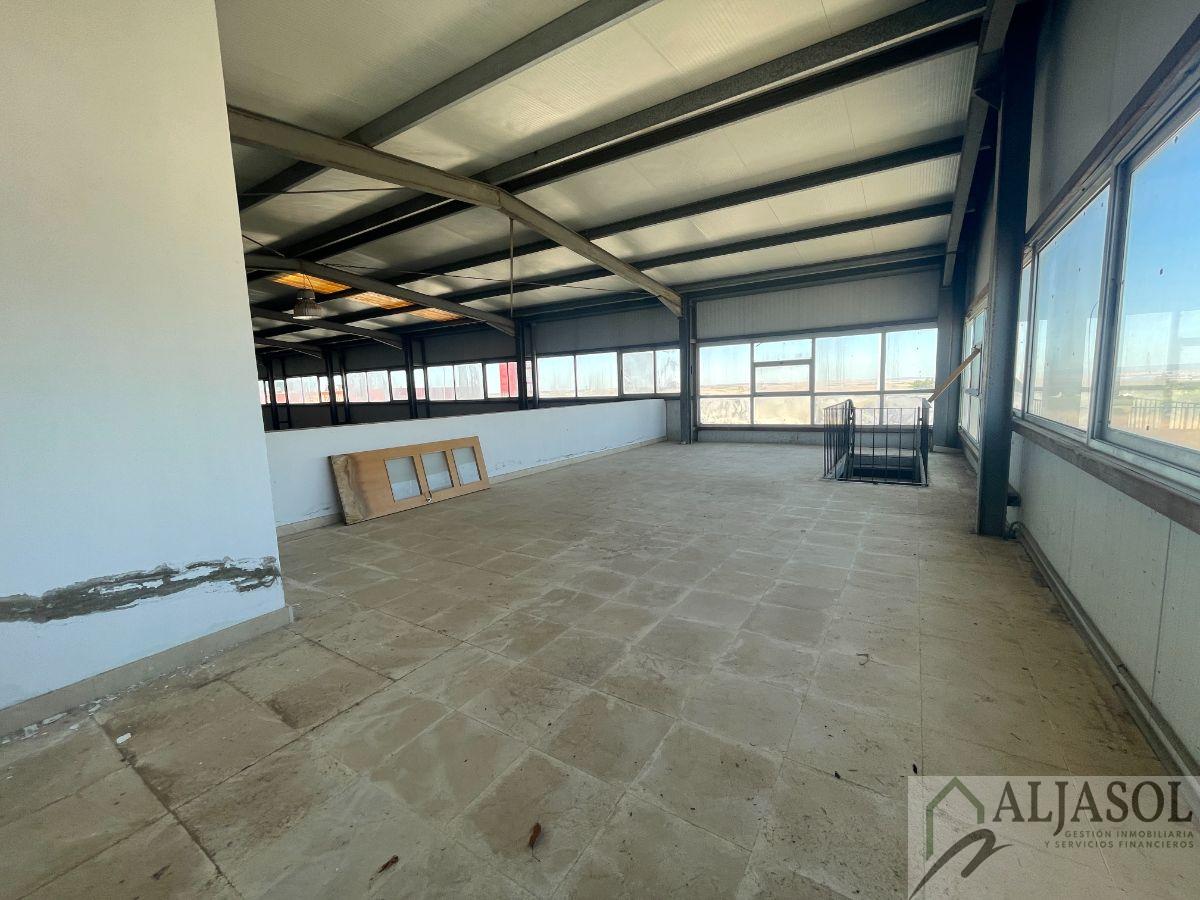 Venta de nave industrial en Sanlúcar la Mayor