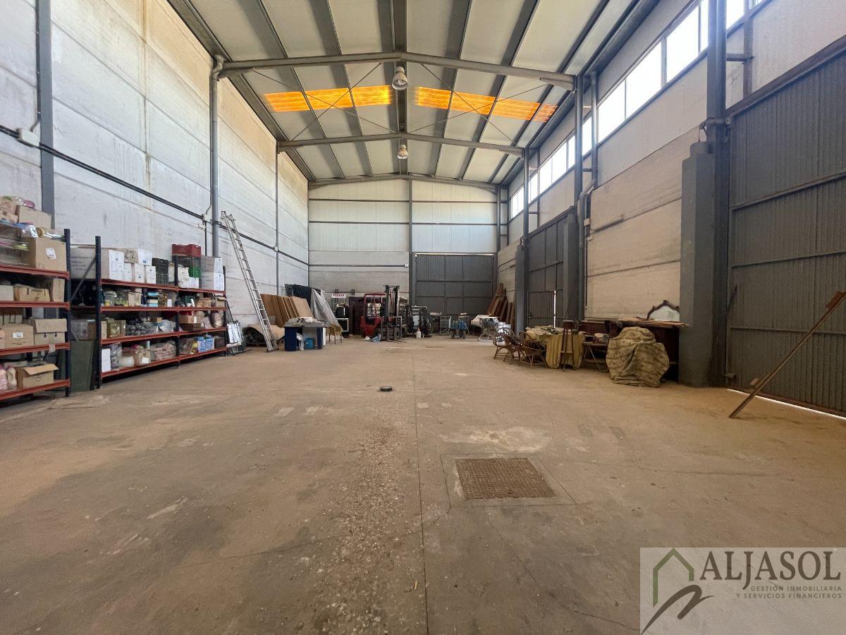 Venta de nave industrial en Sanlúcar la Mayor