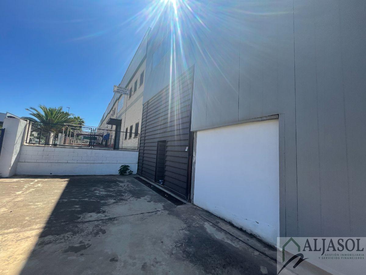 Venta de nave industrial en Sanlúcar la Mayor