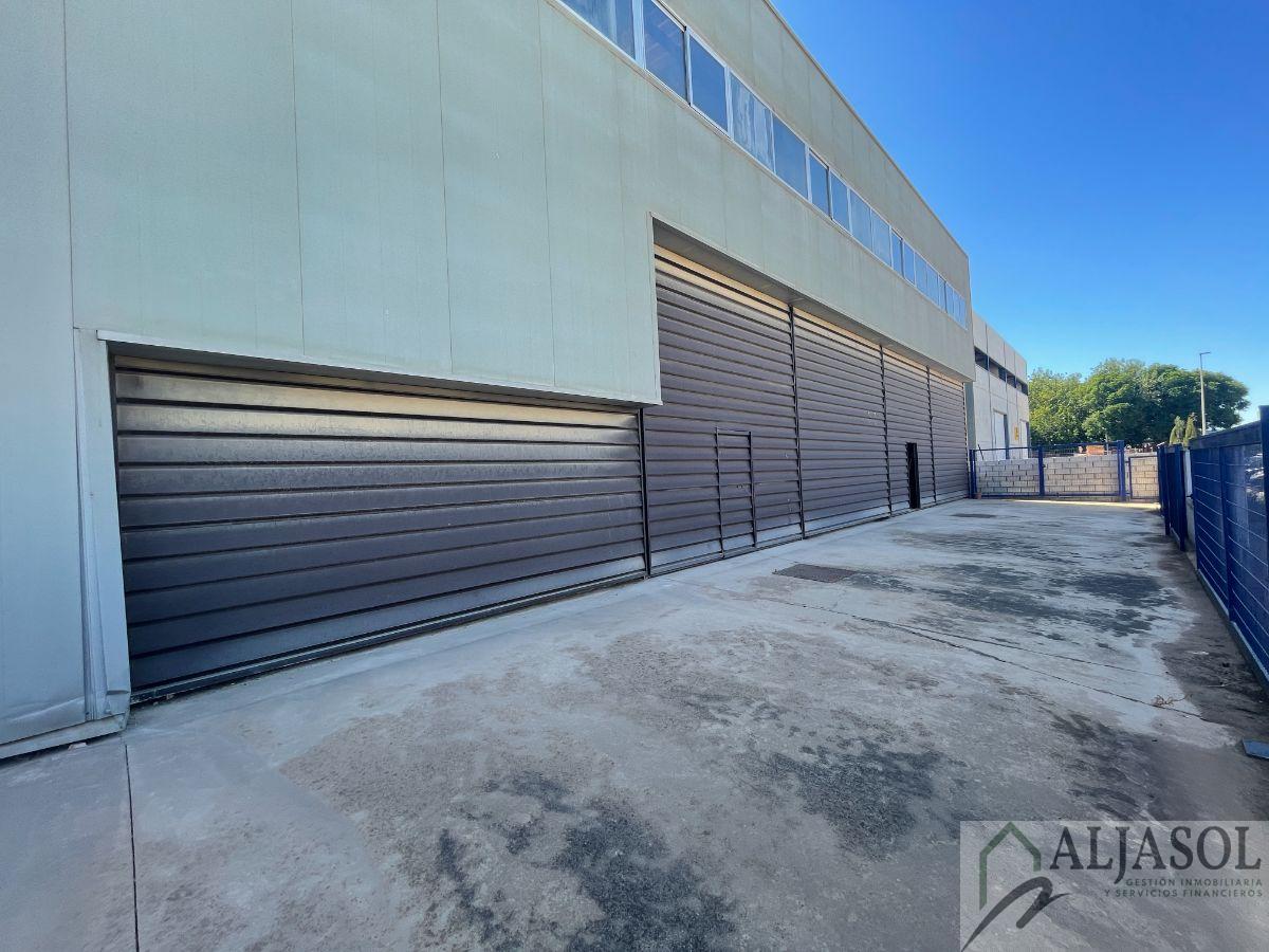 For sale of industrial plant/warehouse in Sanlúcar la Mayor