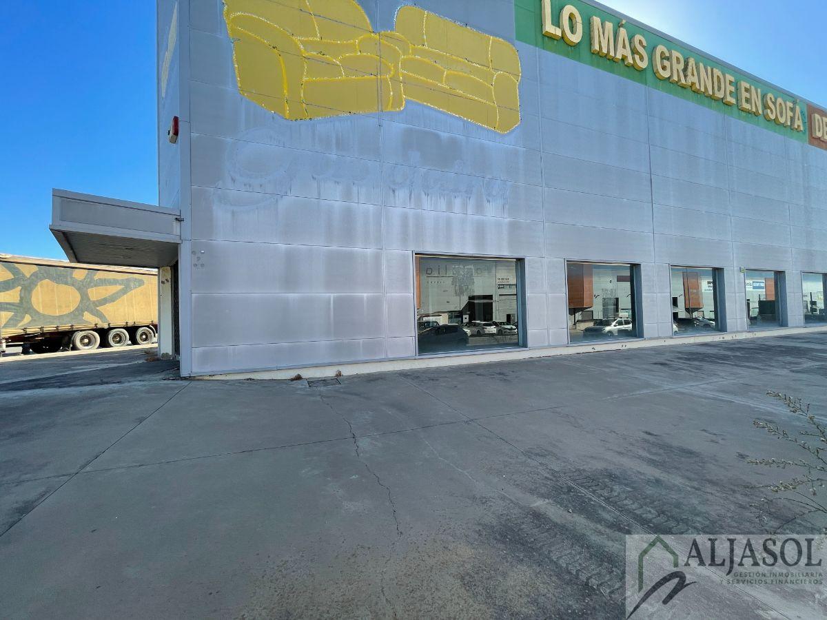For sale of industrial plant/warehouse in Bollullos de la Mitación