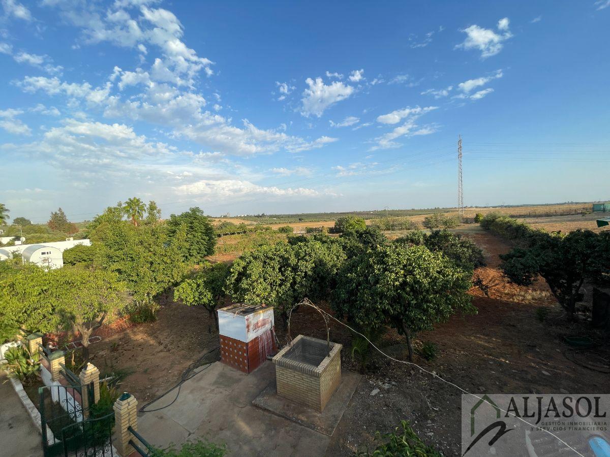 For sale of rural property in Bollullos de la Mitación