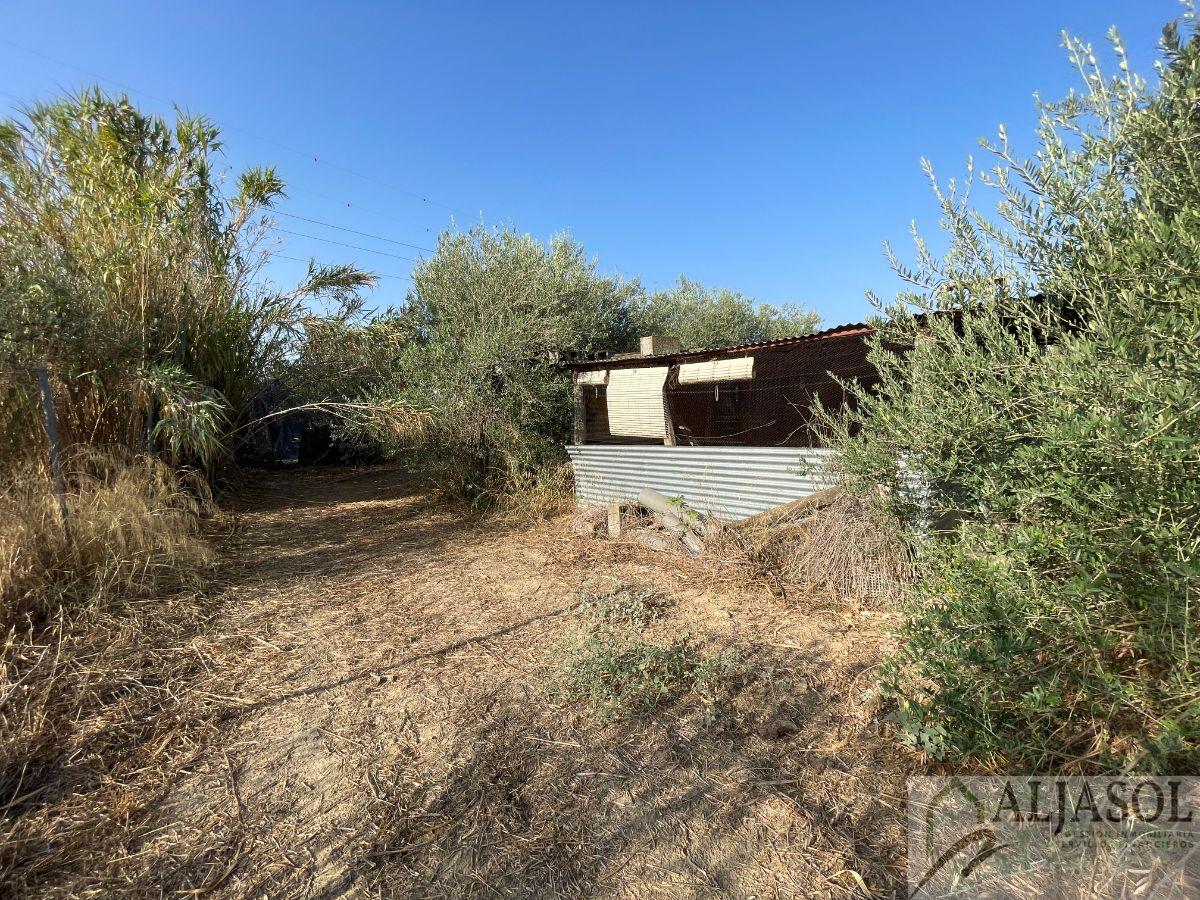 Finca en venta en Camino del Pozo, Salteras