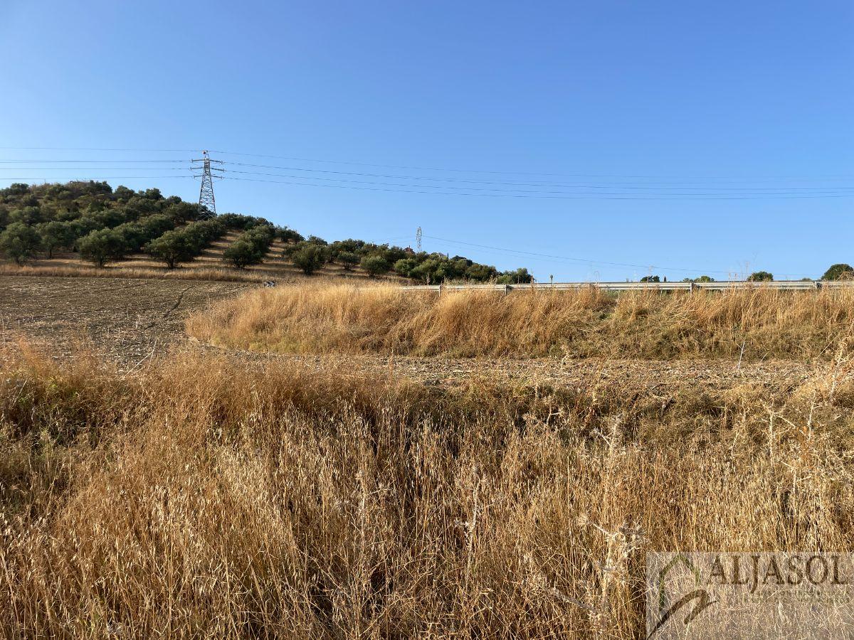 Finca en venta en CHORRITO, Salteras