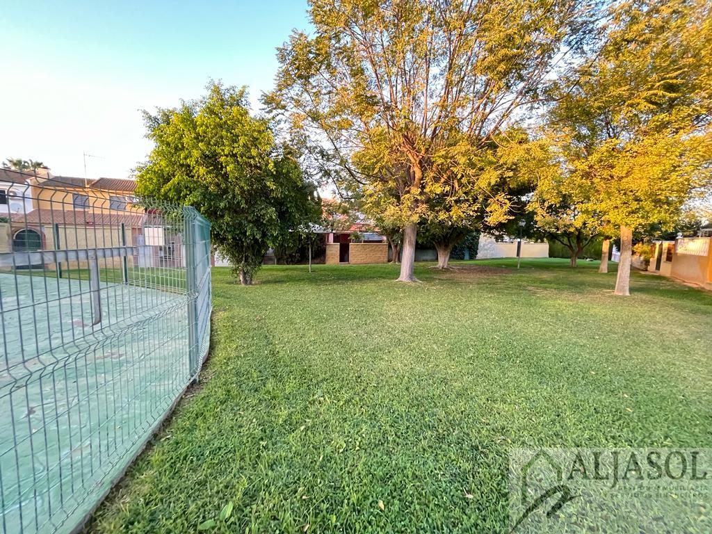 For sale of house in Villanueva del Ariscal