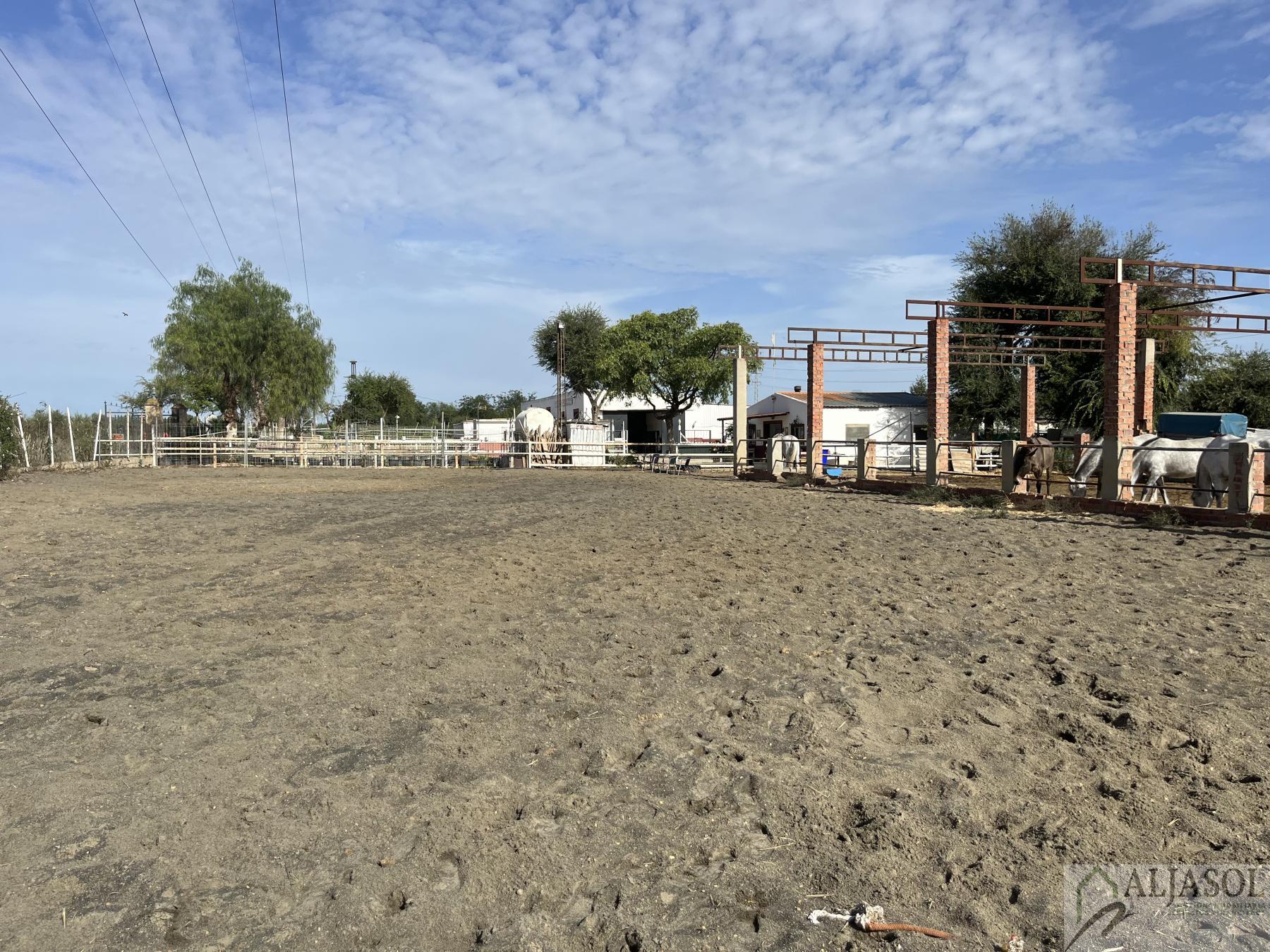 For sale of rural property in Bormujos